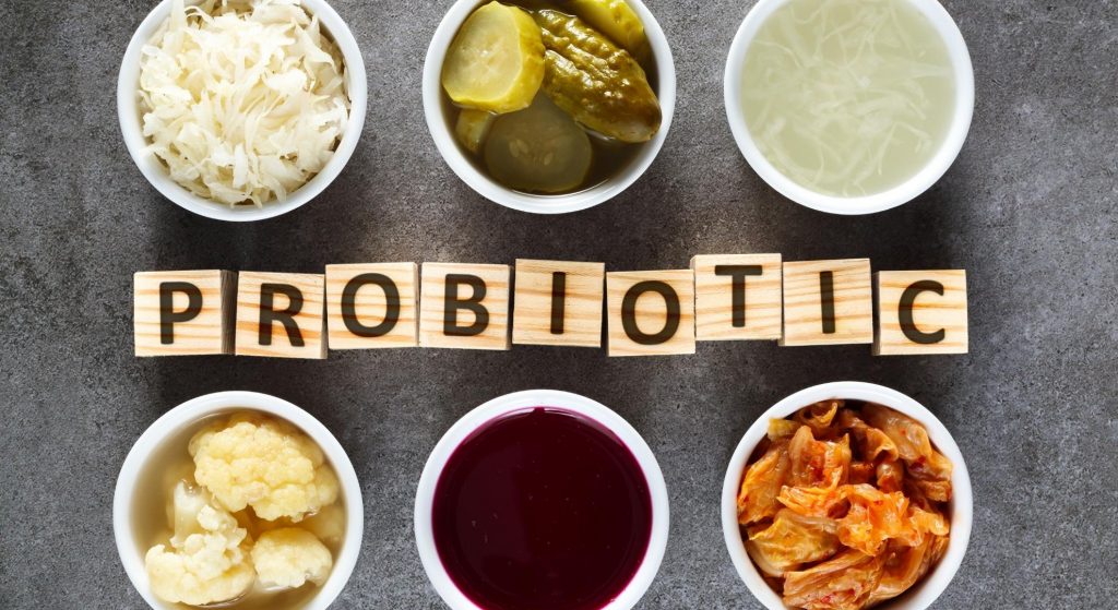 alimentos probióticos